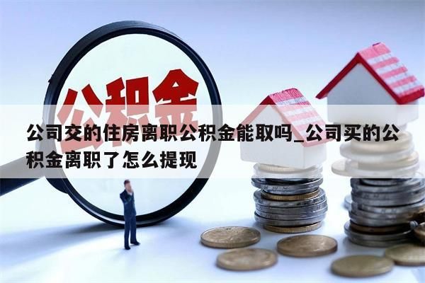 公司交的住房离职公积金能取吗_公司买的公积金离职了怎么提现